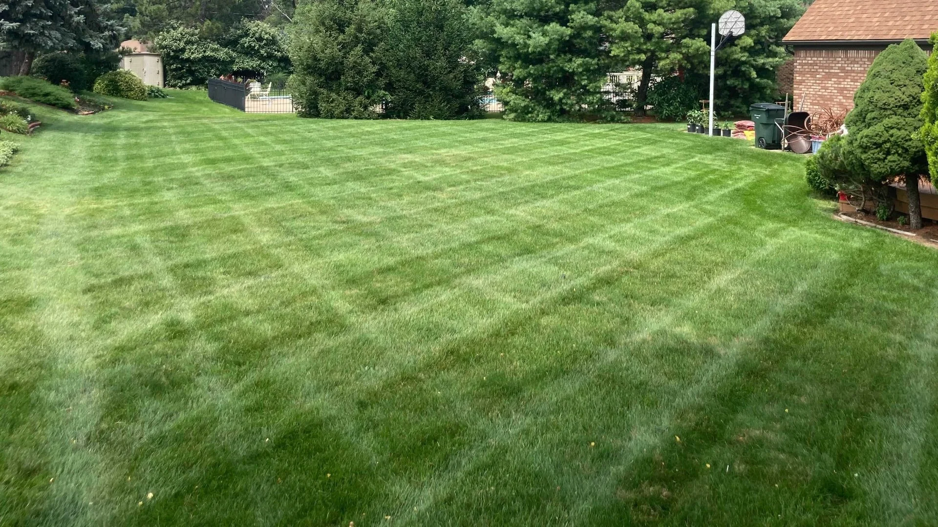 You Should Mow Your Lawn Before the First Spring Fertilizer Treatment