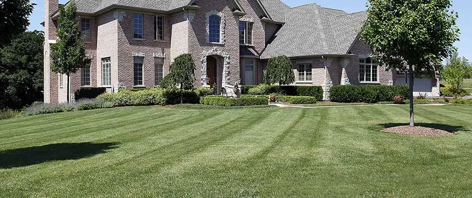 3 Damaging Mistakes Your Lawn Mowing Company Might Be Making