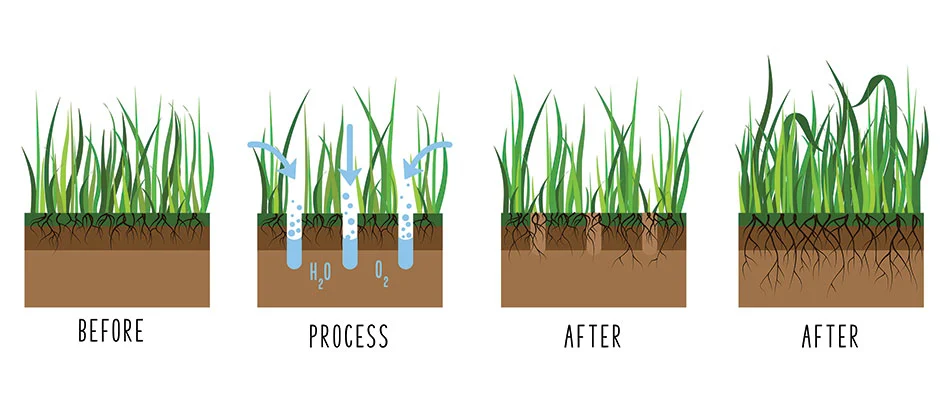 An infographic of the lawn aeration process performed for Chesterfield, MI customers.