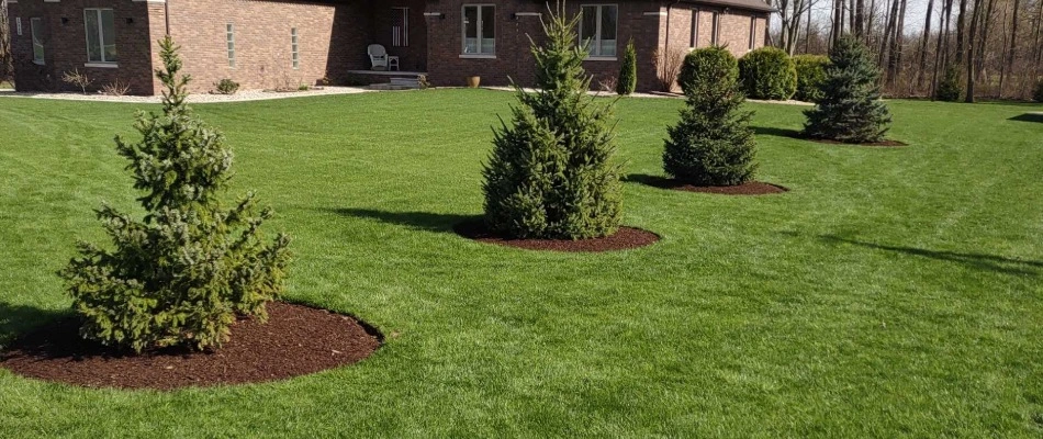 Multiple plant beds with mulch freshly installed in Warren, MI.