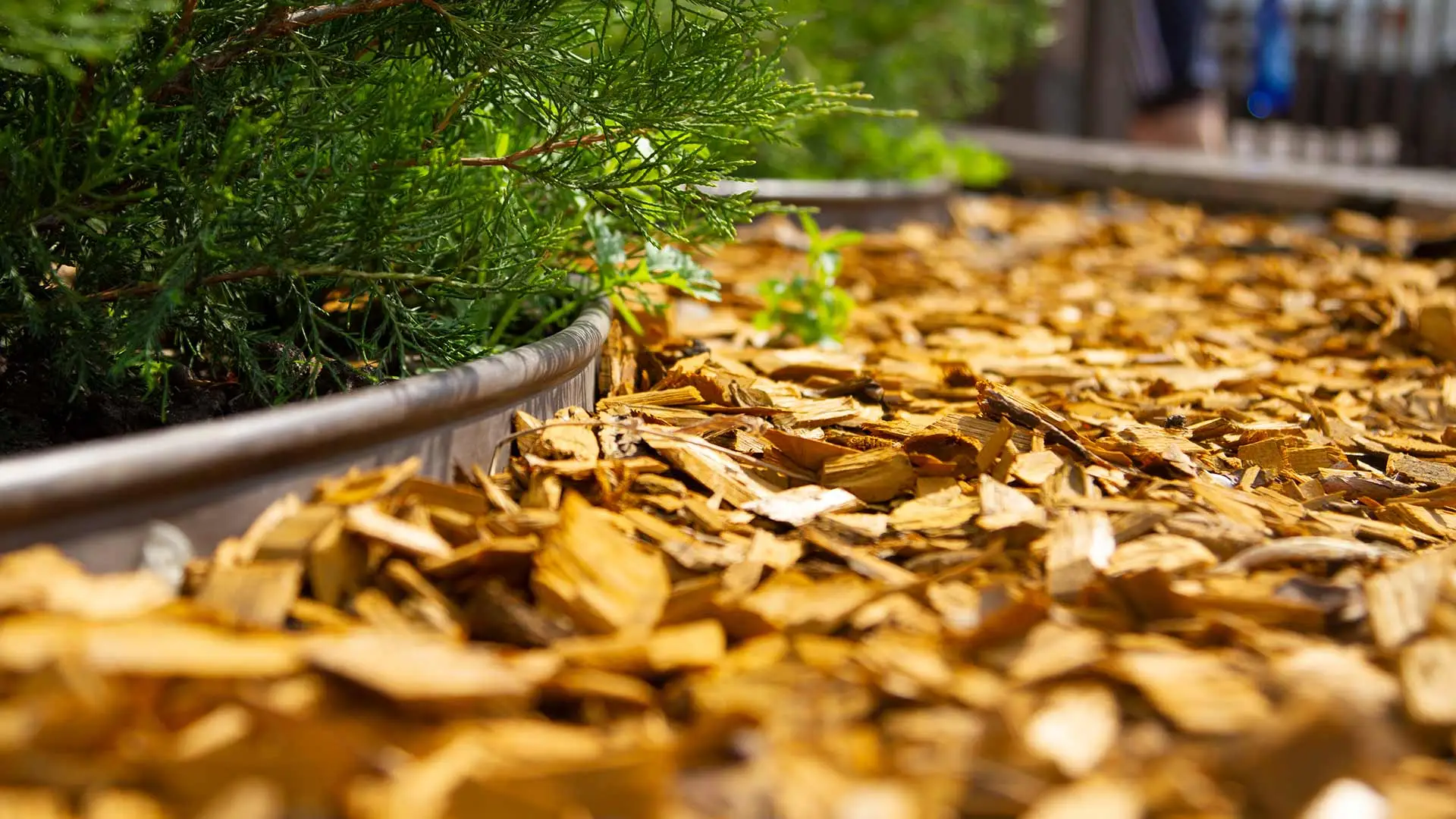 A landscape bed with fresh mulch installation in Chesterfield, MI.