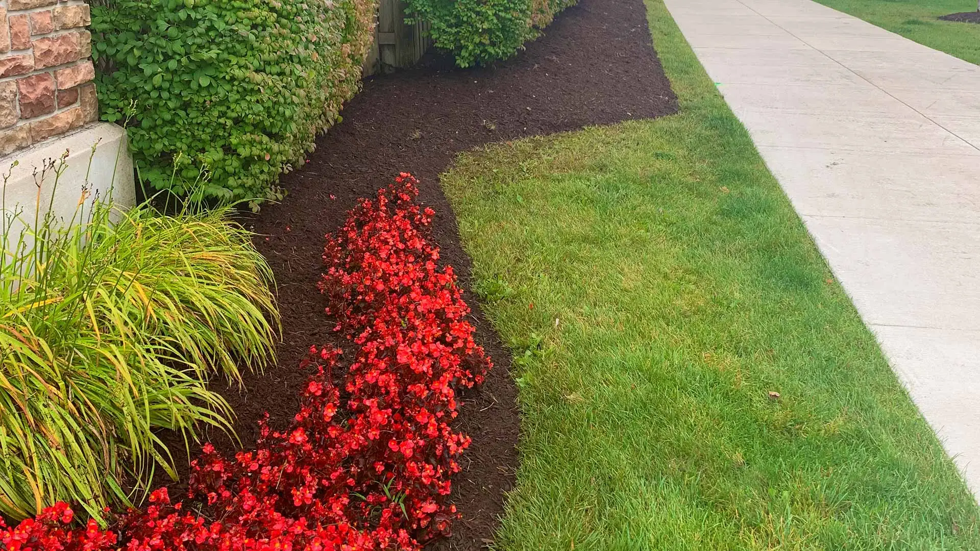 Fresh mulch installation in a commercial landscape bed near Macomb, MI.