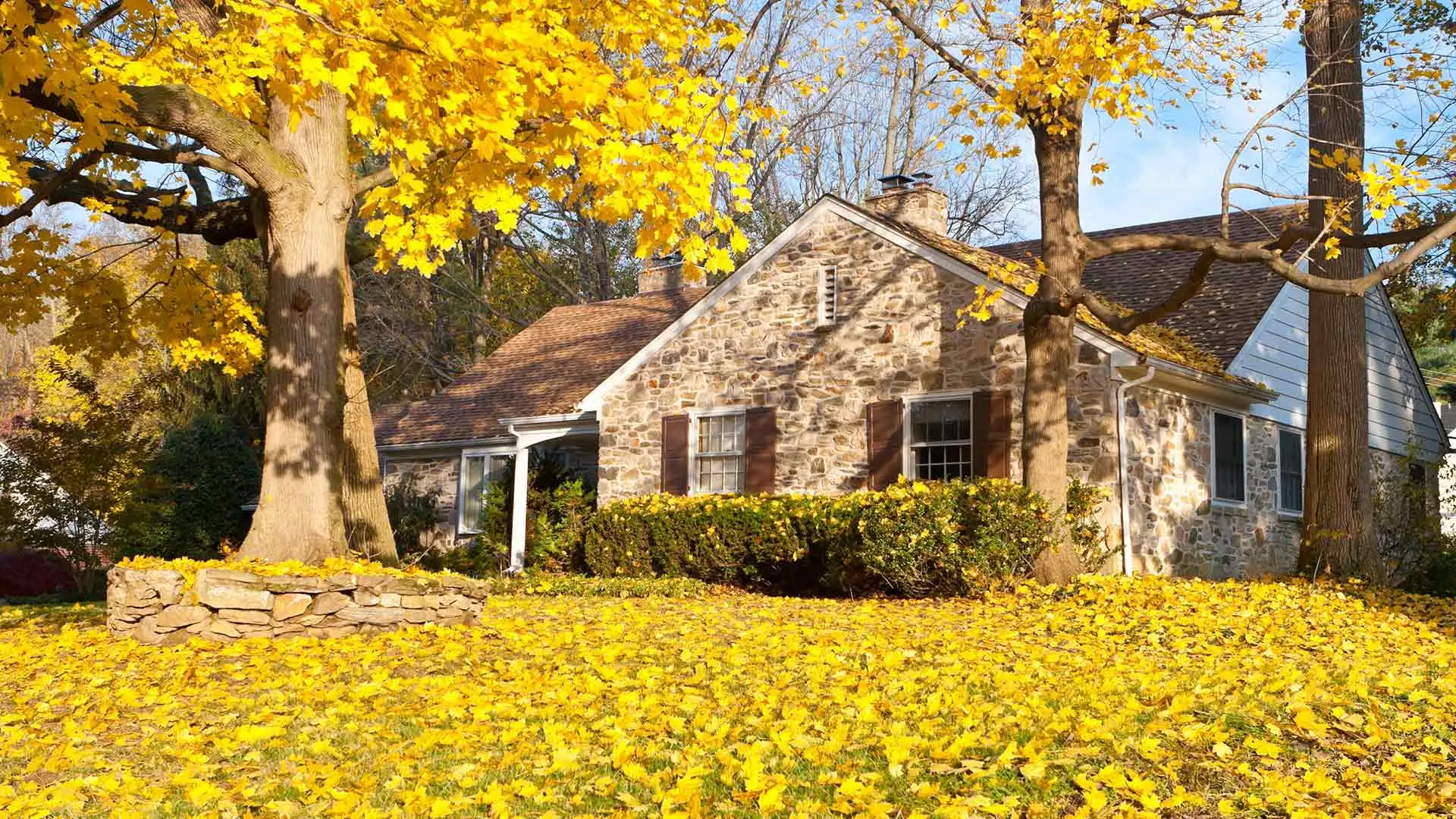 A home in Macomb, MI covered in fall leaves.