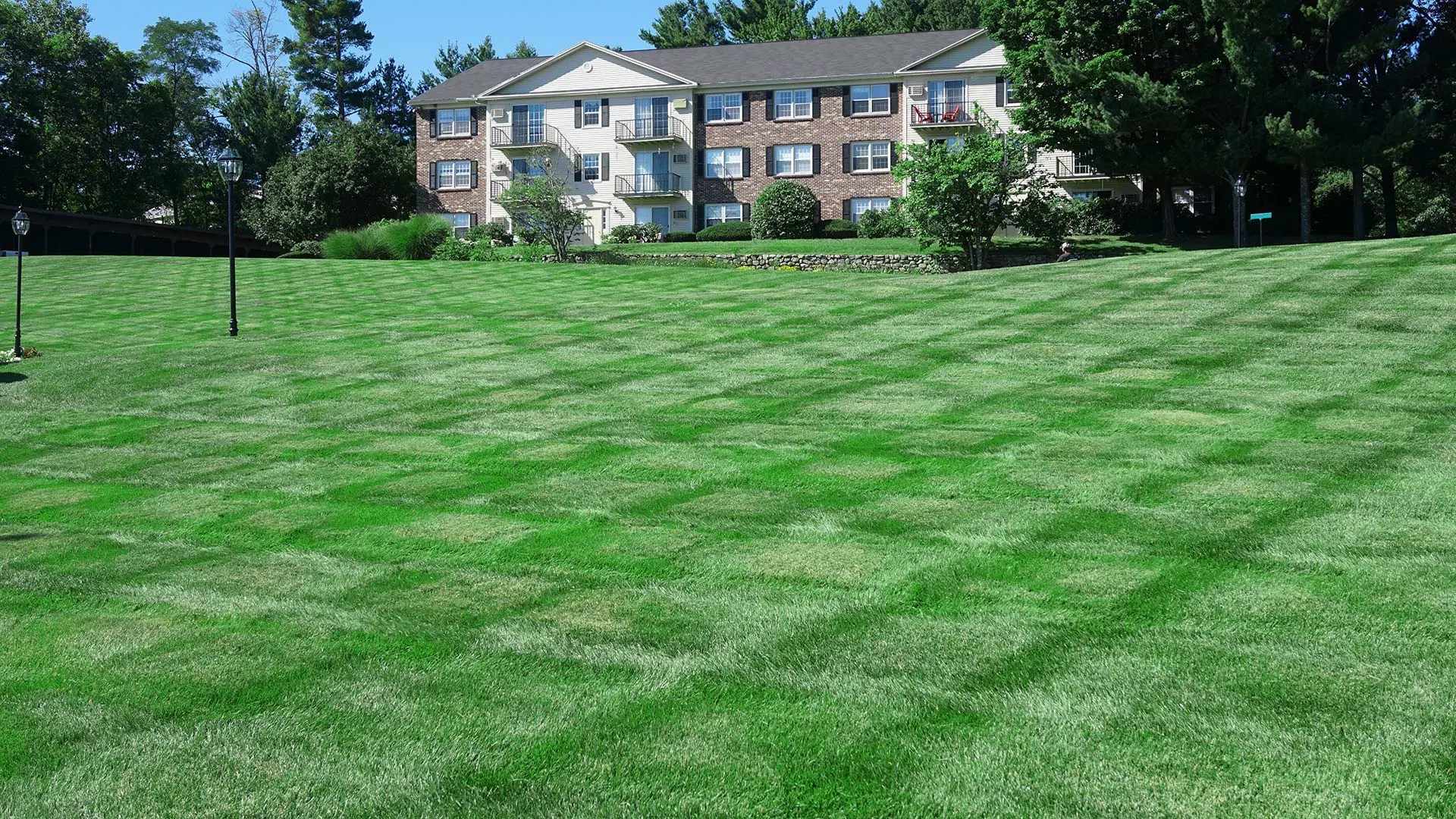 A vast commercial lawn with healthy grass in Macomb, MI.