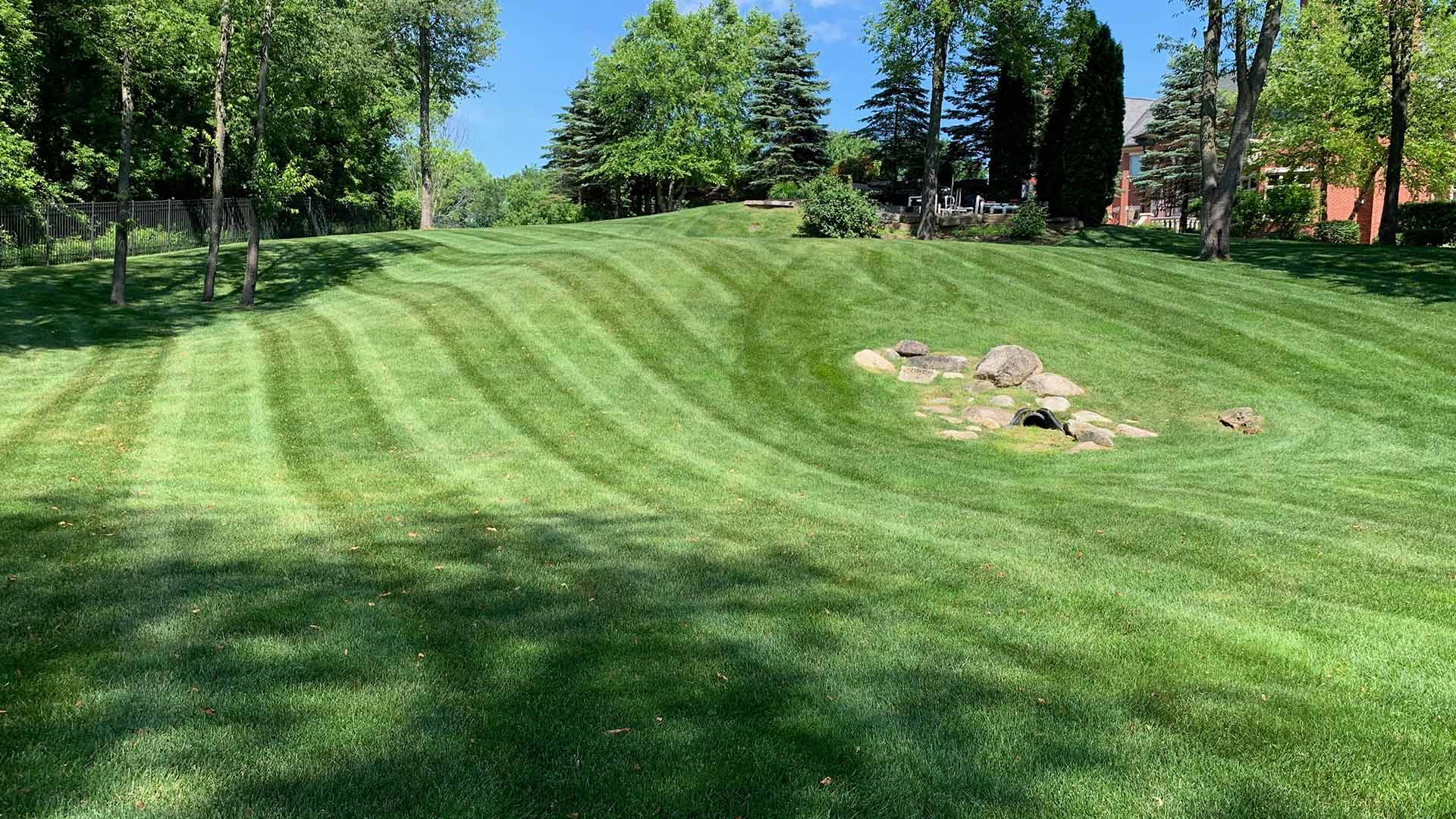 A large mowed back yard in Shelby, MI.