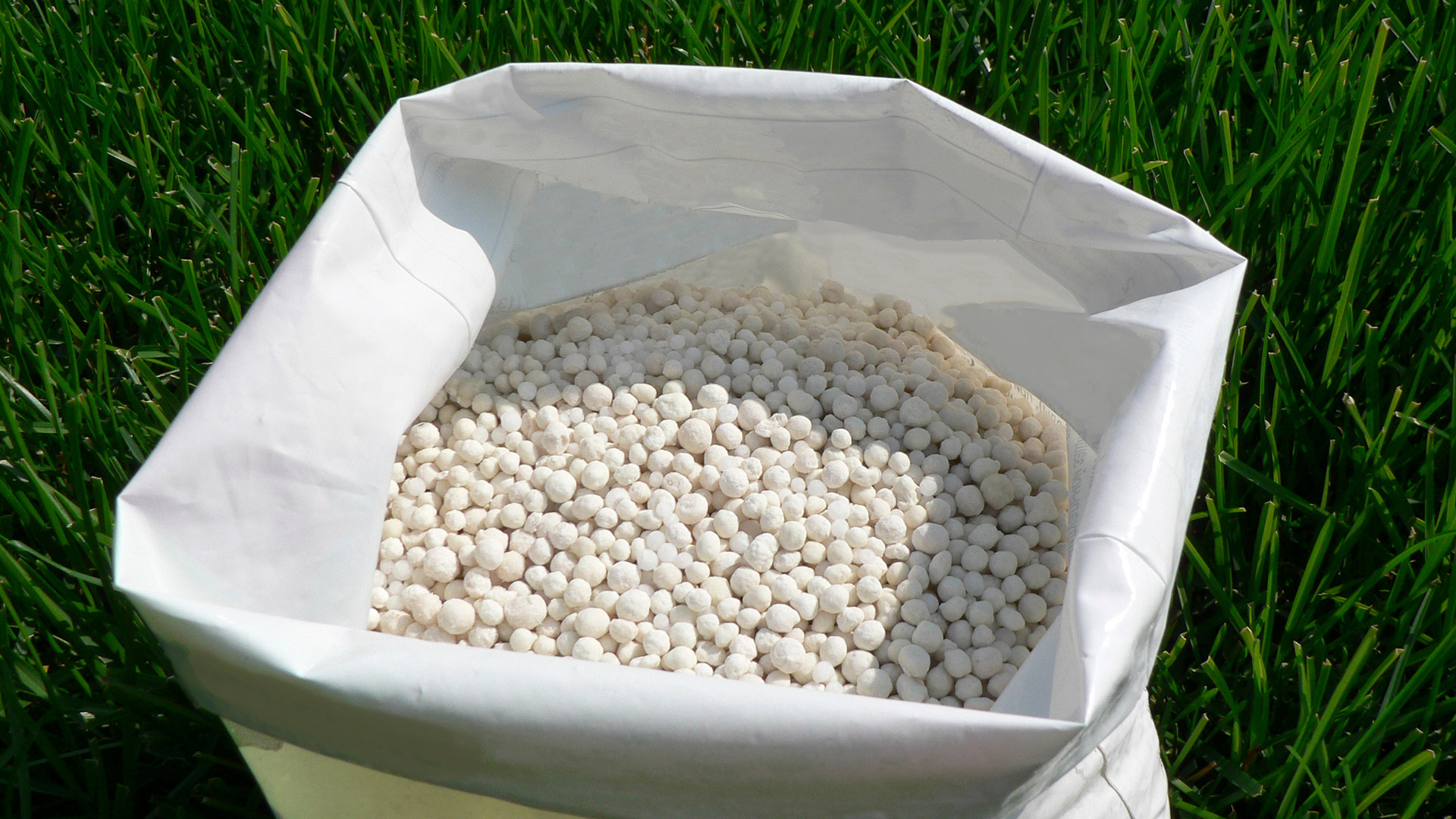 Why Nitrogen Is So Important to Have In Your Spring Fertilizer