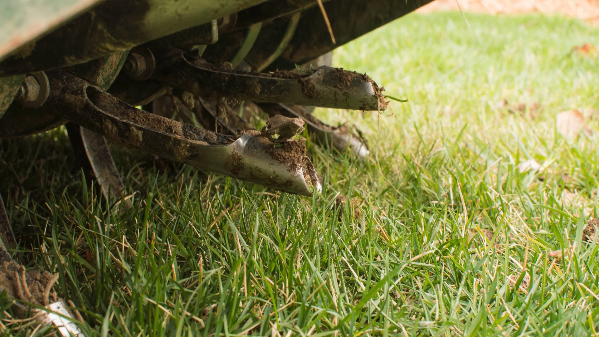 Breaking Down the Pros & Cons of Core Aeration
