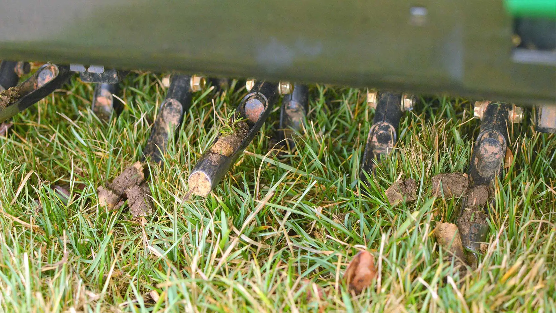 What Should You Do With the Cores Left Over on Your Lawn From Aeration?
