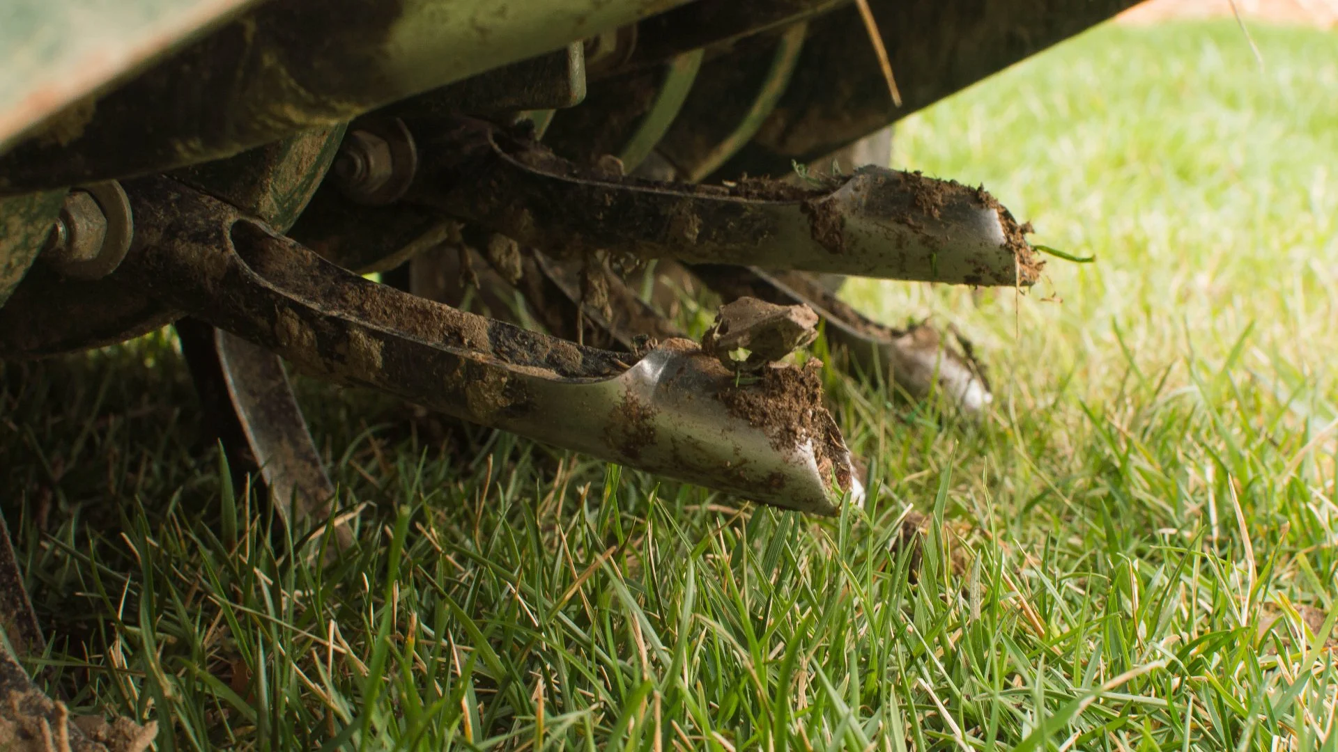 Liquid vs Core Aeration - Does It Matter Which You Do for Your Lawn?