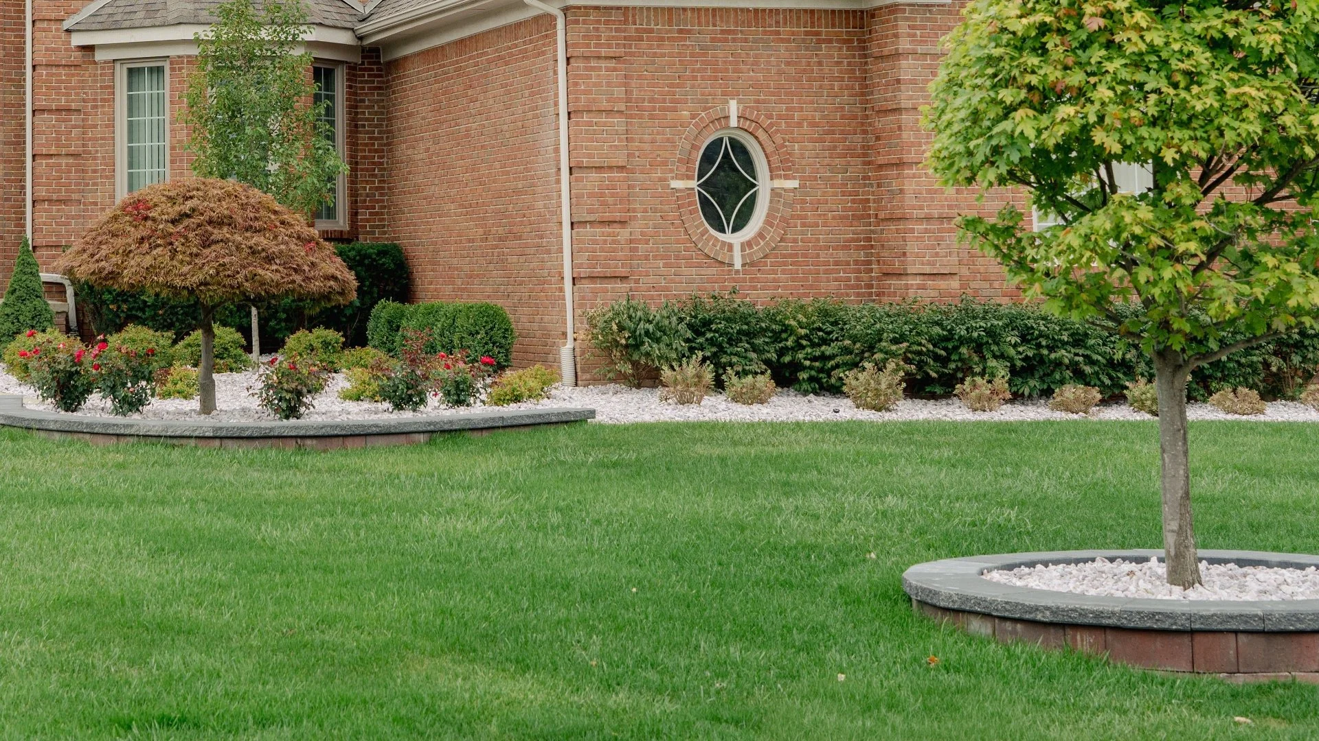 Does Overseeding Your Lawn Make It Harder for Weeds to Grow?