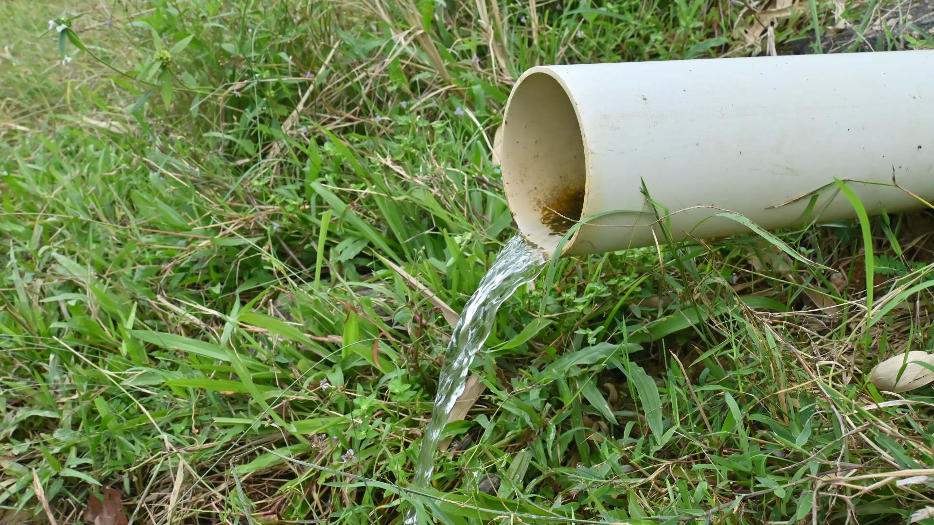 What to Do About Water Drainage Issues on Your Property