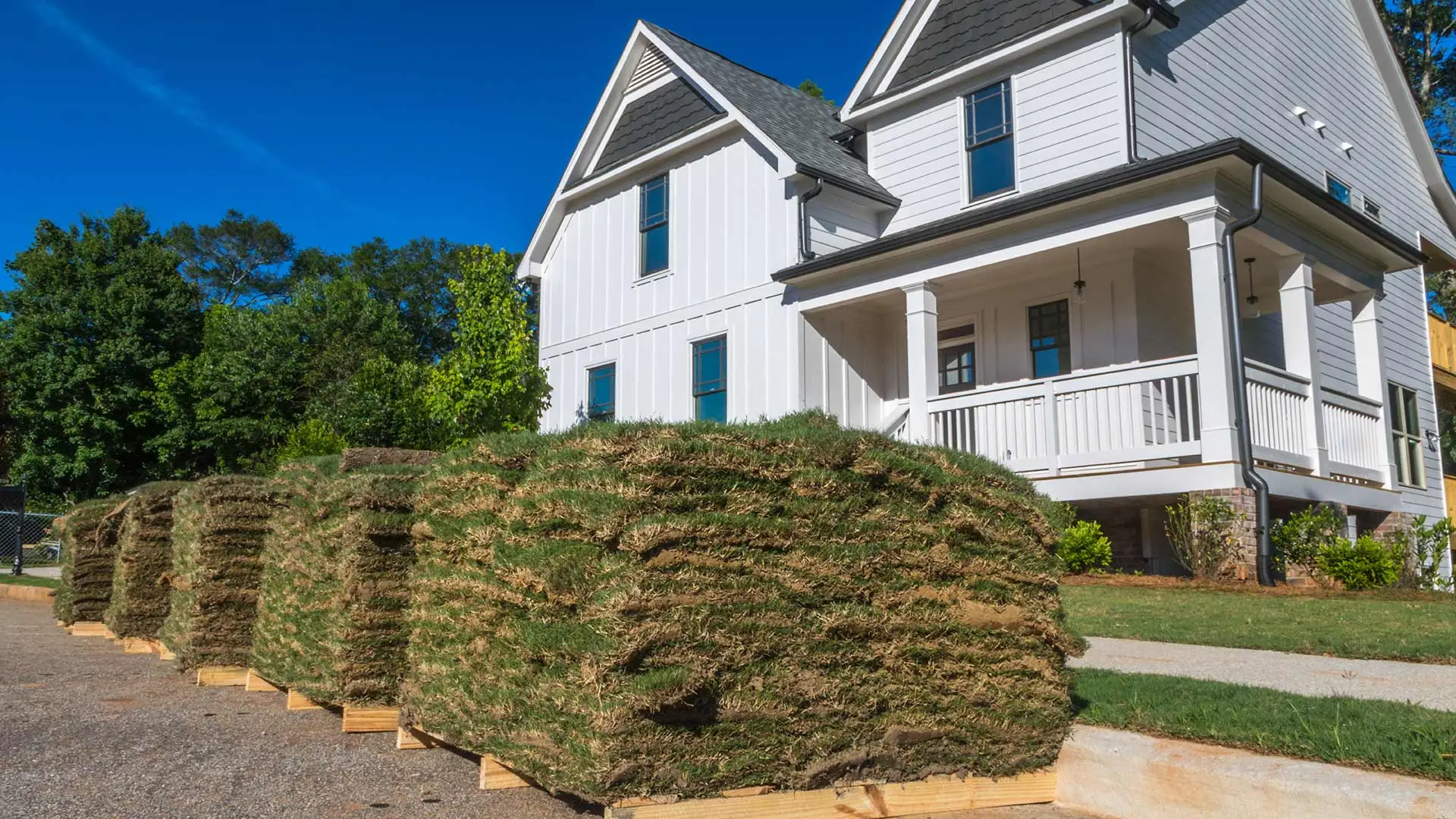 When is the Best Time to Lay Sod in Michigan?