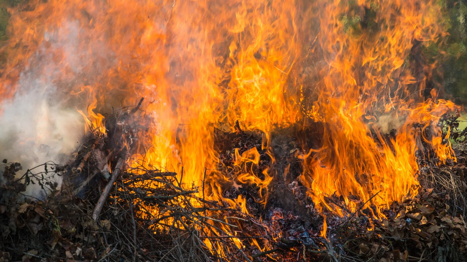 Is It Okay to Burn Leaf Piles in Michigan?