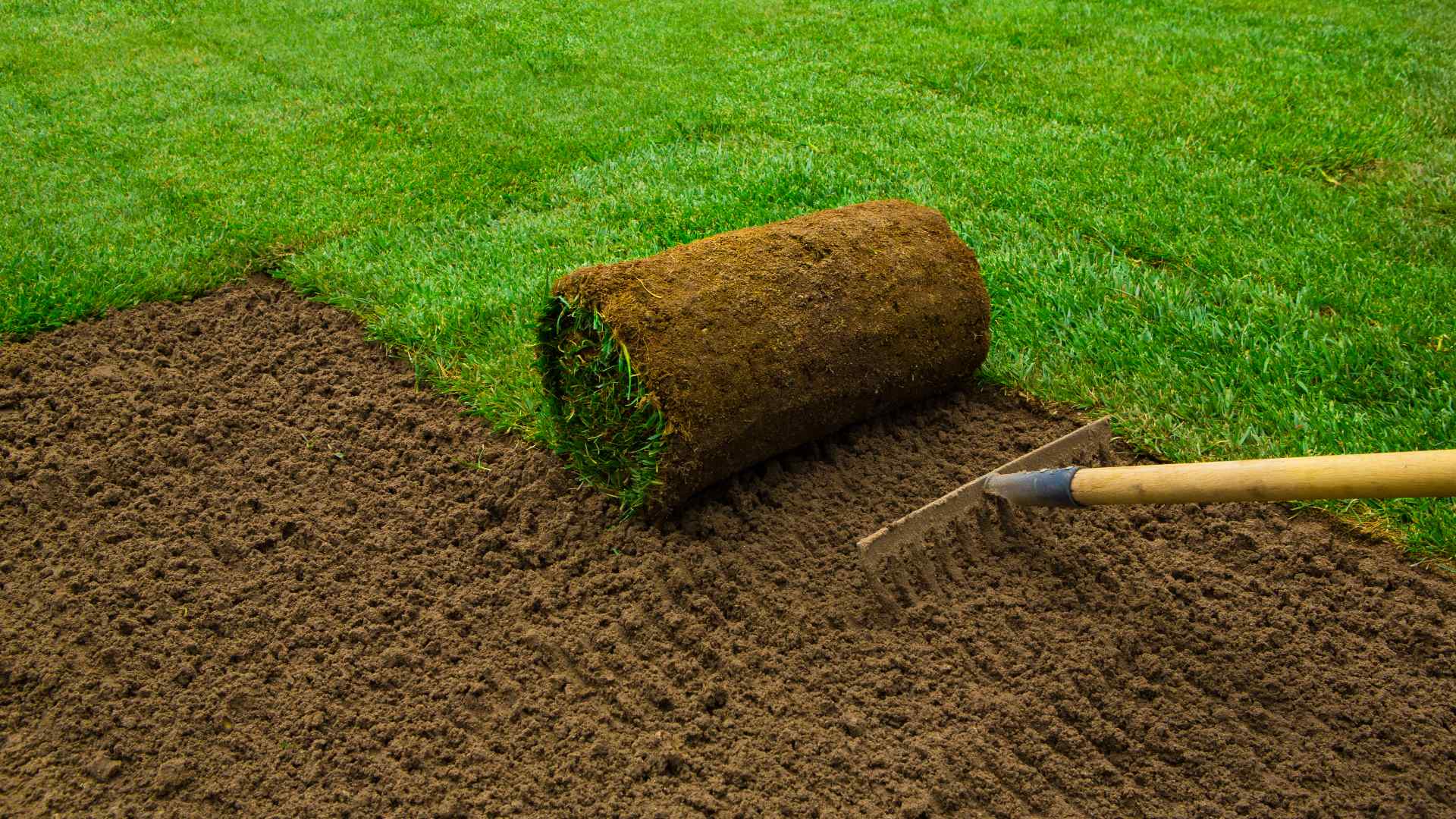 How Long Do You Have To Wait Before Walking on Newly Installed Sod?