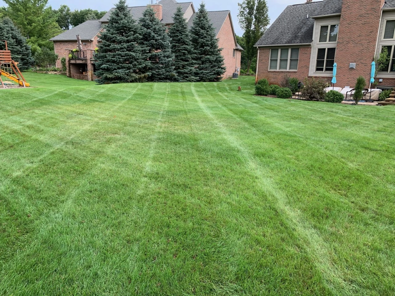 Close up photo of lawn core aeration plugs near Macomb, MI.