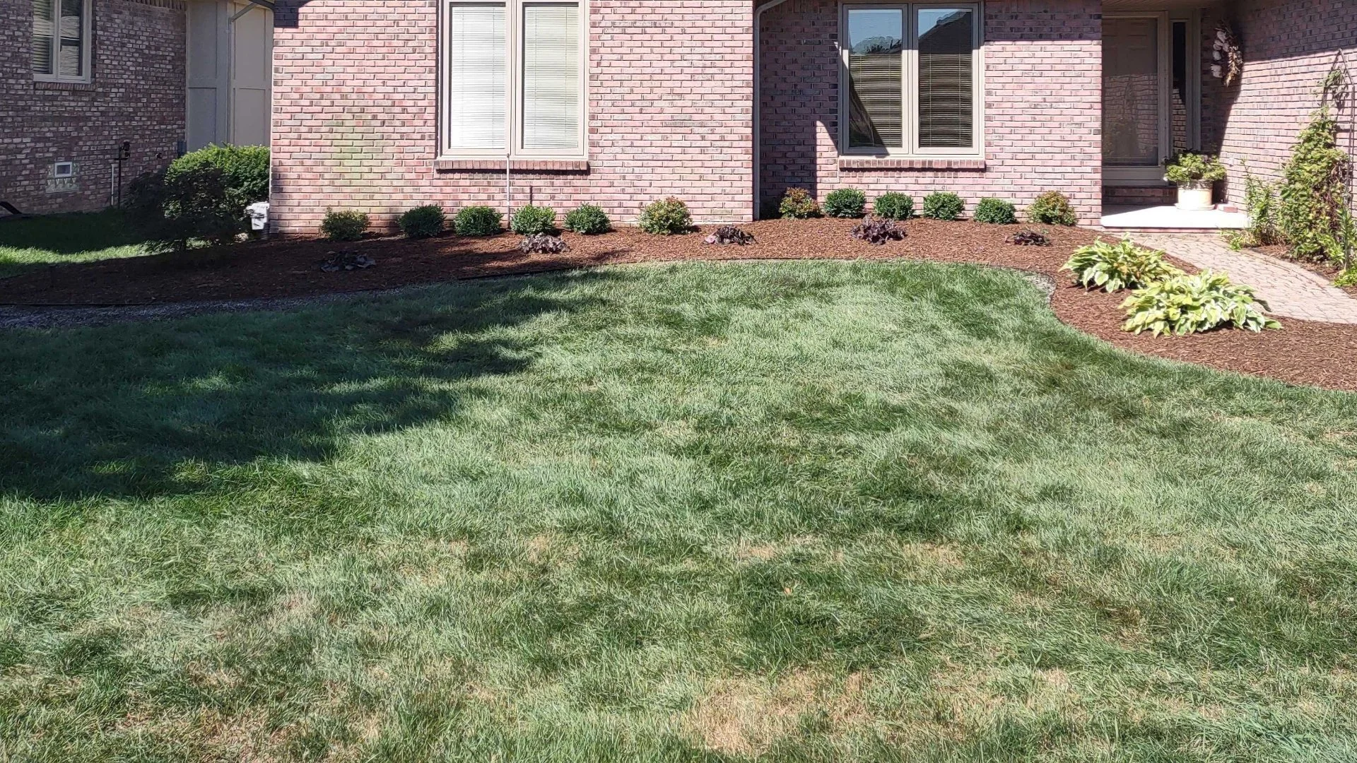 3 Things That Could Be Responsible for Your Brown Lawn