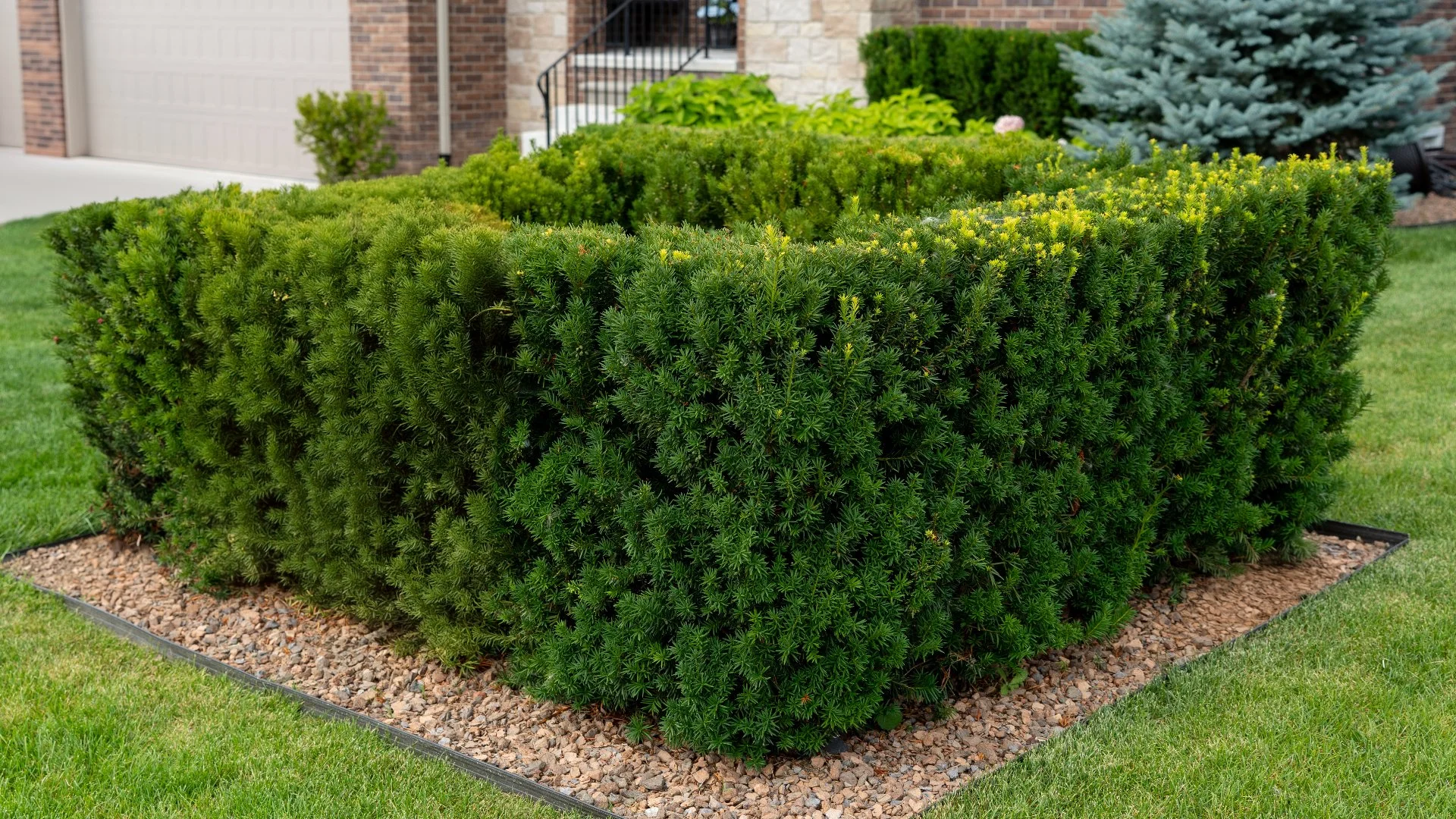 Shrubs with proper trimming at a Macomb, MI home property.