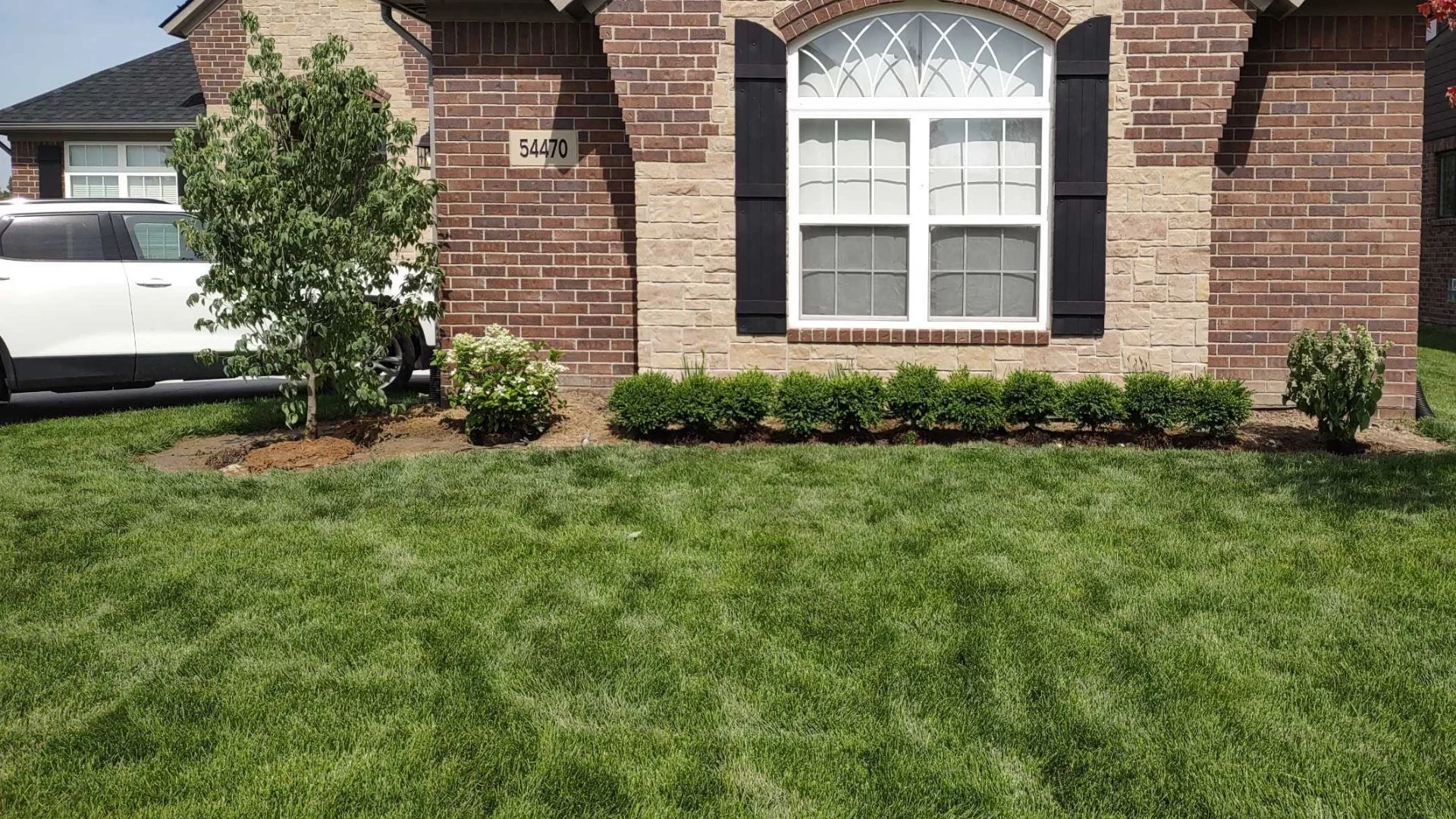 Make Sure to Have Your Lawn Aerated Every Year