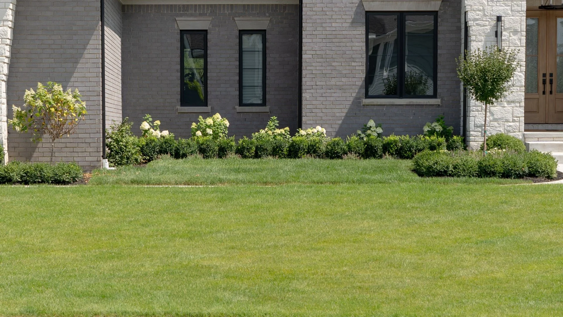 How Long Until You See Results From Post-Emergent Weed Control?