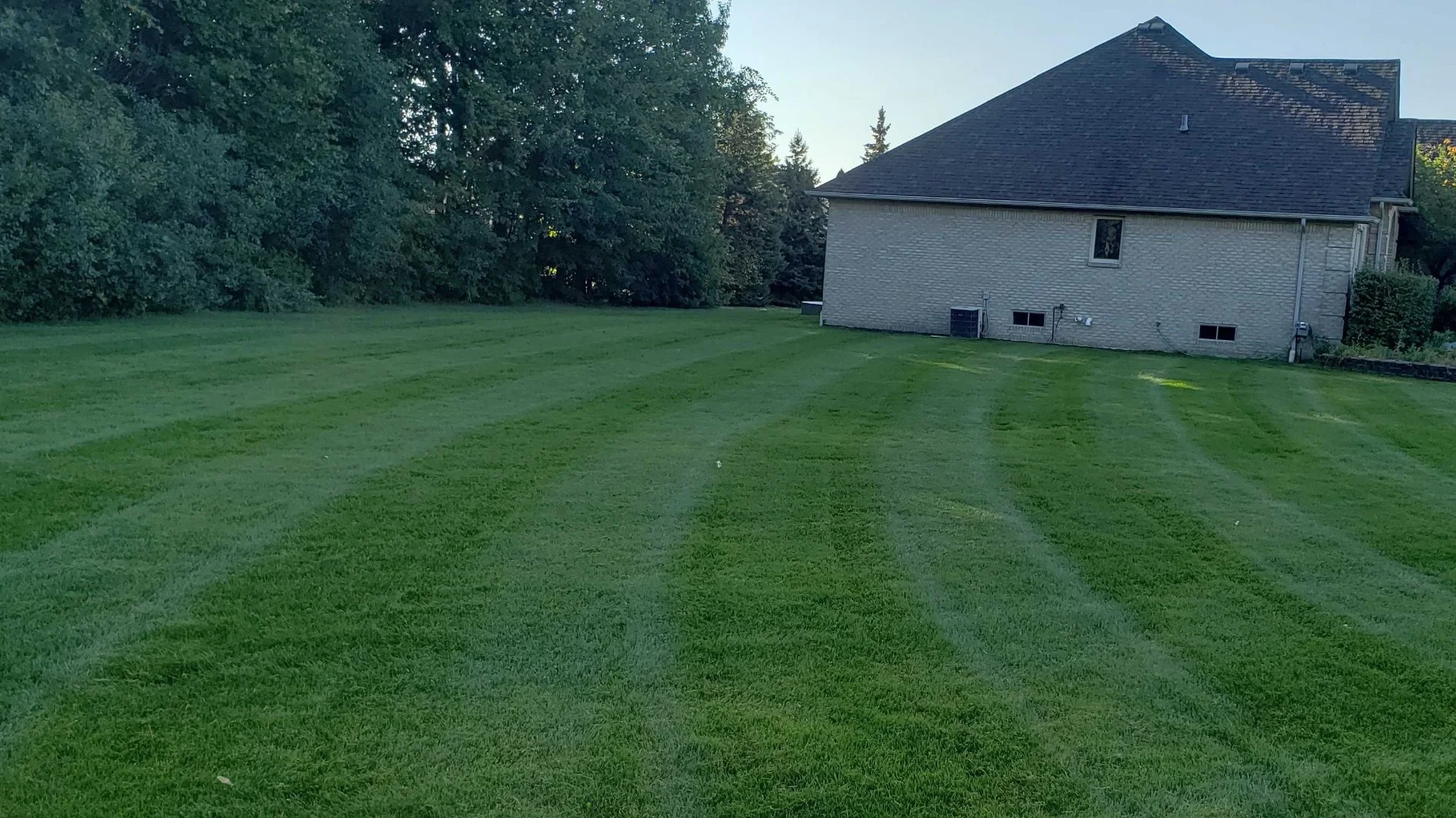 The Differences Among Lawn Fertilizer Products