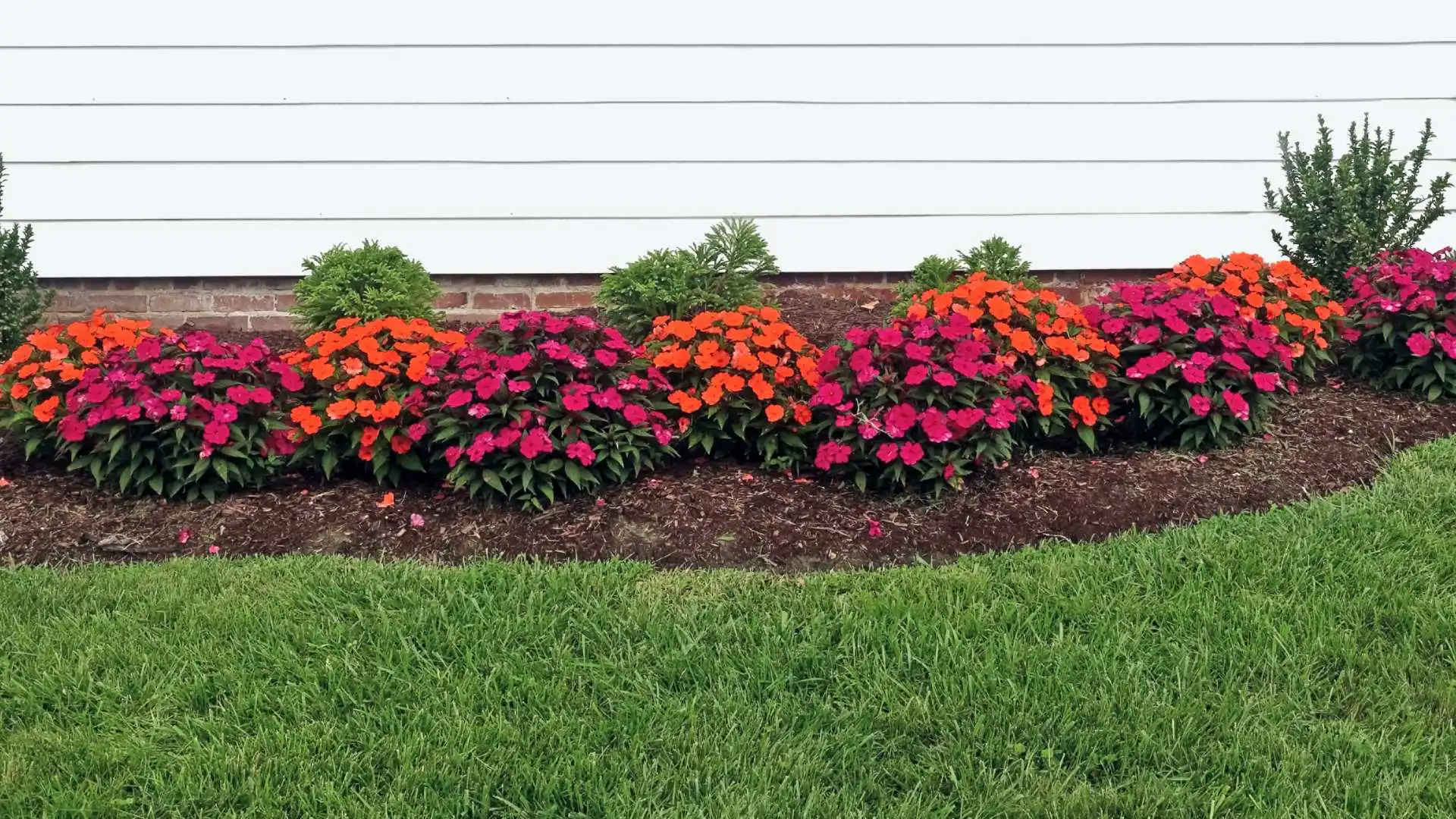 3 Simple Steps to Transforming Your Landscape Beds This Spring