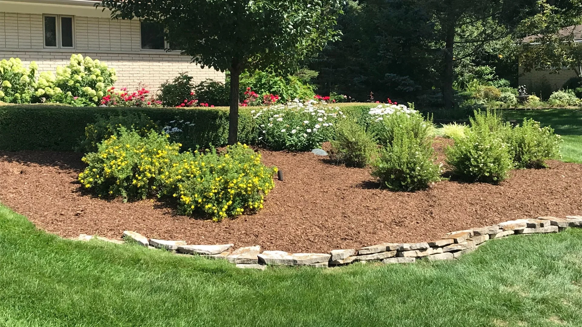 Does Mulch Need Frequent Refreshing?