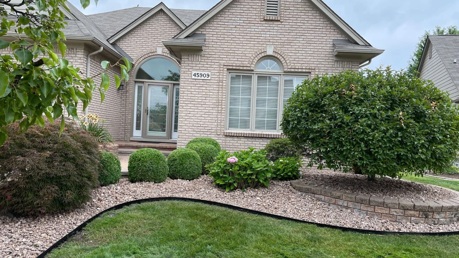 Are Native Plants a Good Choice for Your Landscape?