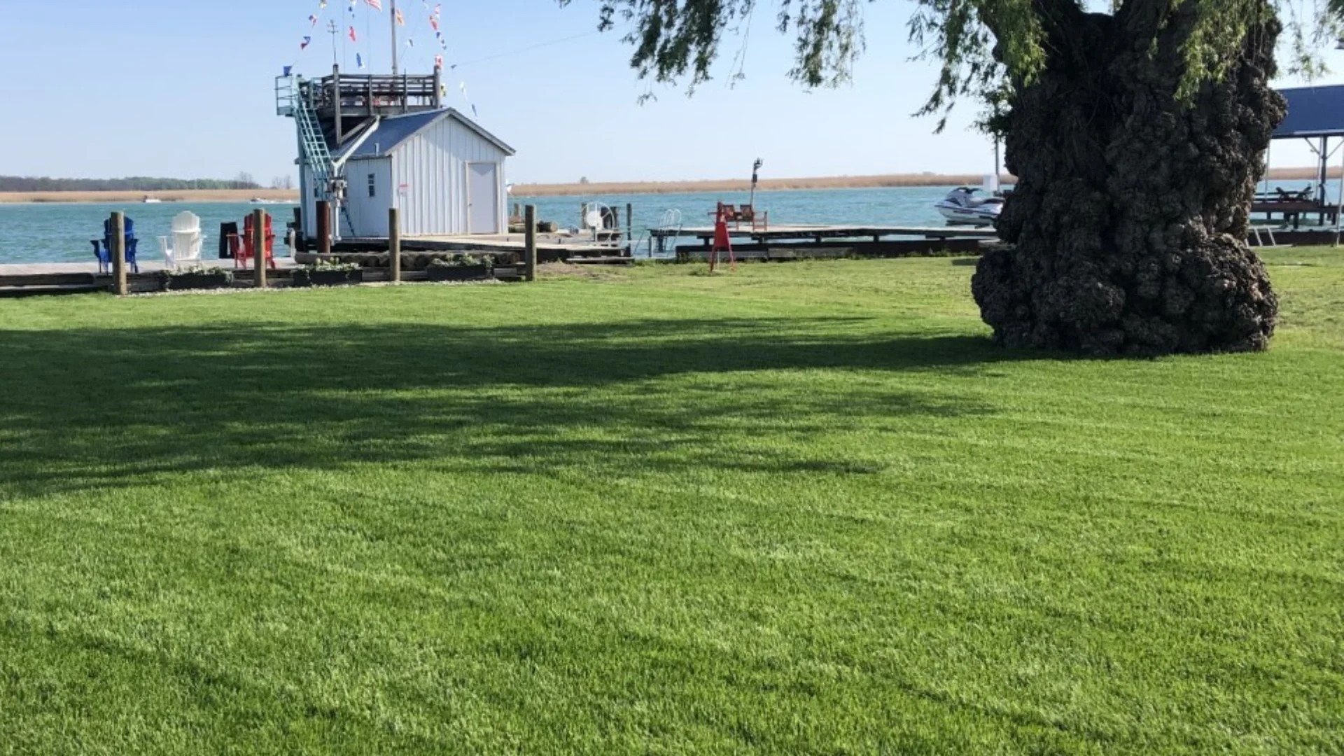 Keep Your Lawn Thick: How Often to Overseed