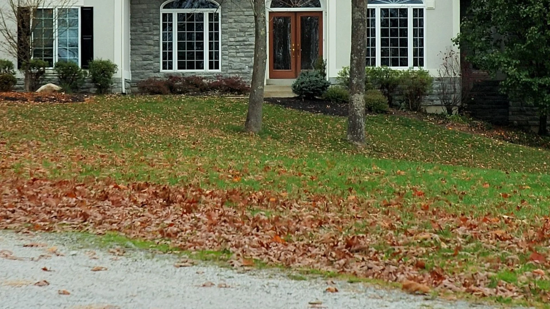 Fall Cleanups Do More Than Just Improve the Appearance of Your Lawn!