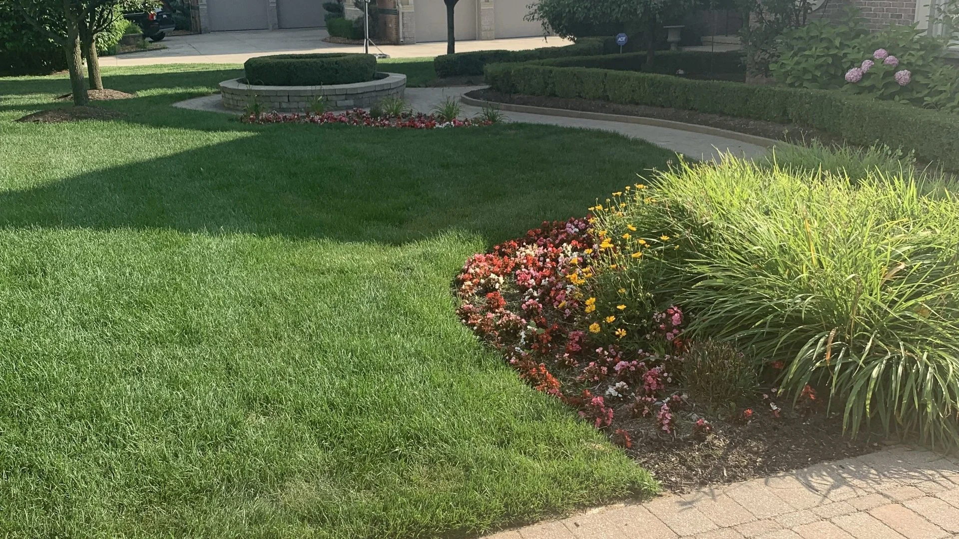Can Weed Control Damage Your Lawn?