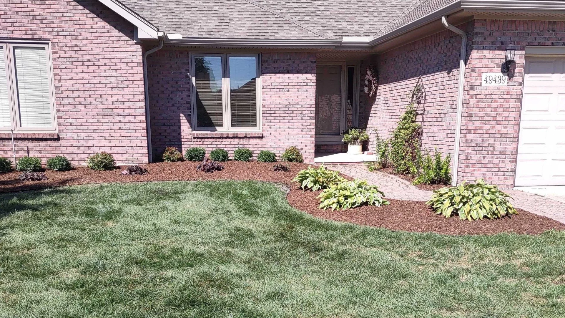 Why Does Your Lawn Have So Many Weeds?