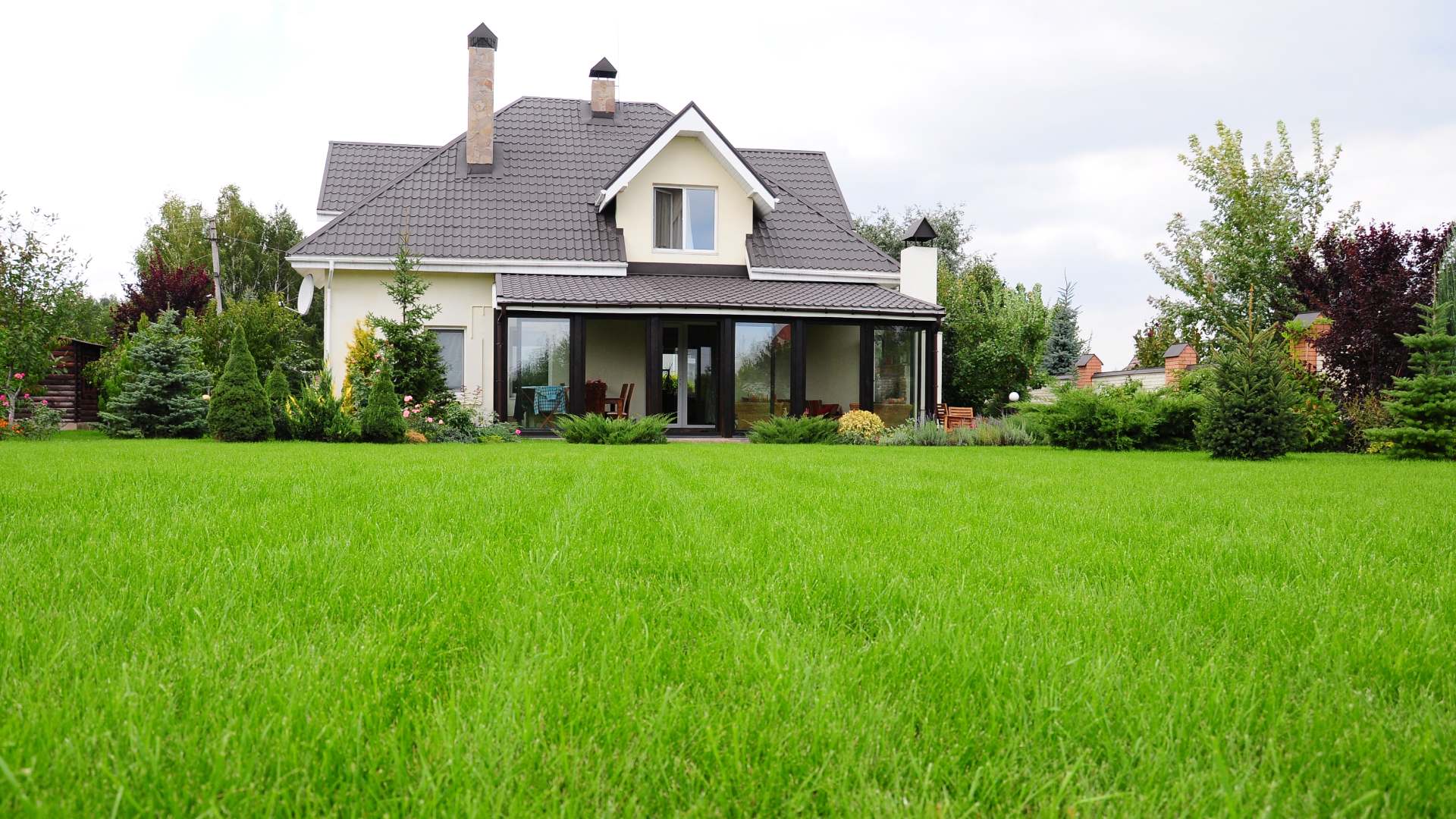 How Often Should You Be Fertilizing Your Lawn in Macomb, MI?