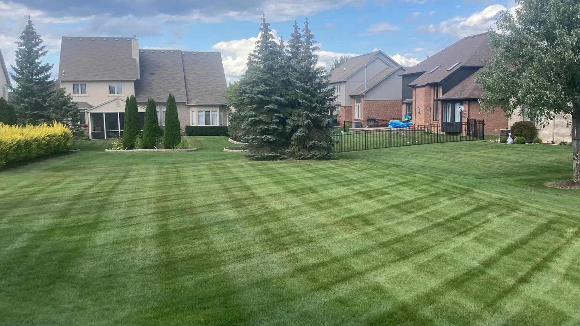 Can Mowing Make Your Grass Thicker?