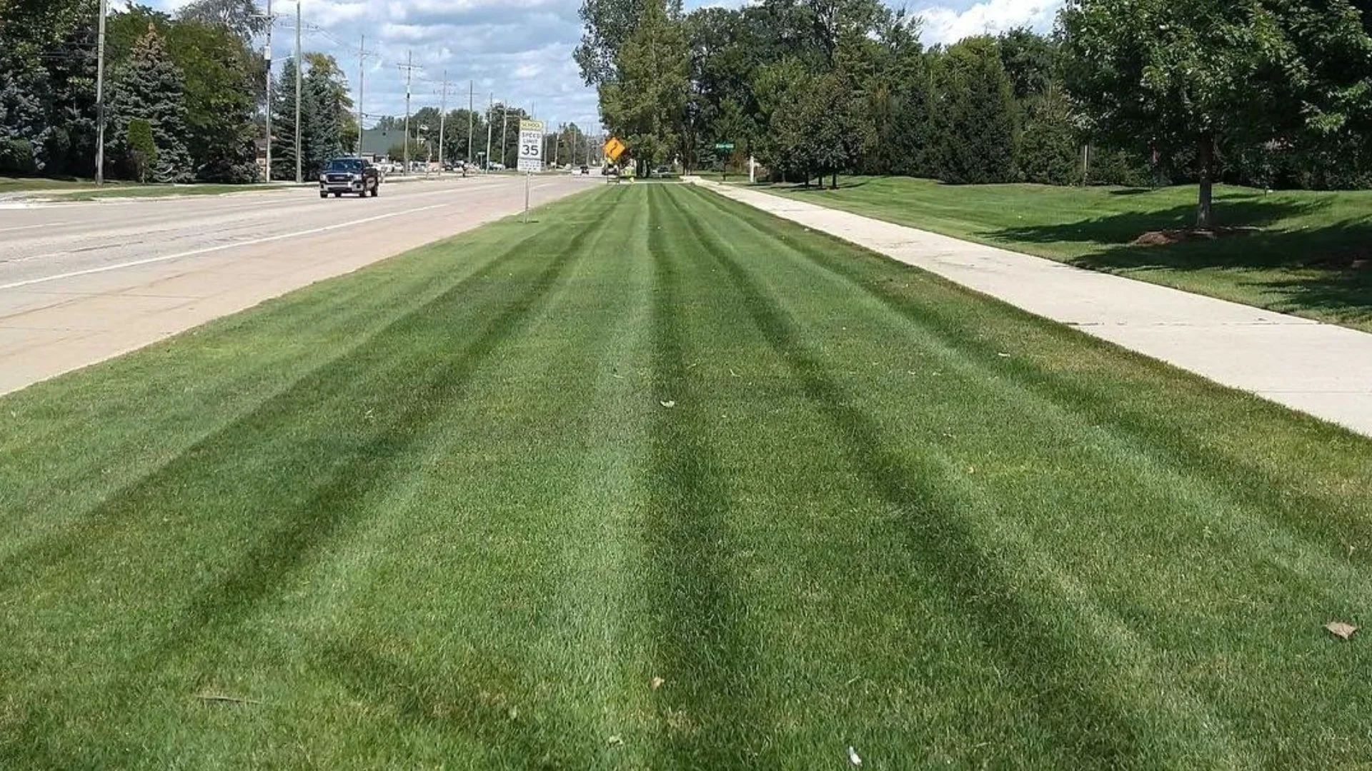 Does Mowing Your Lawn Help Prevent Weeds?