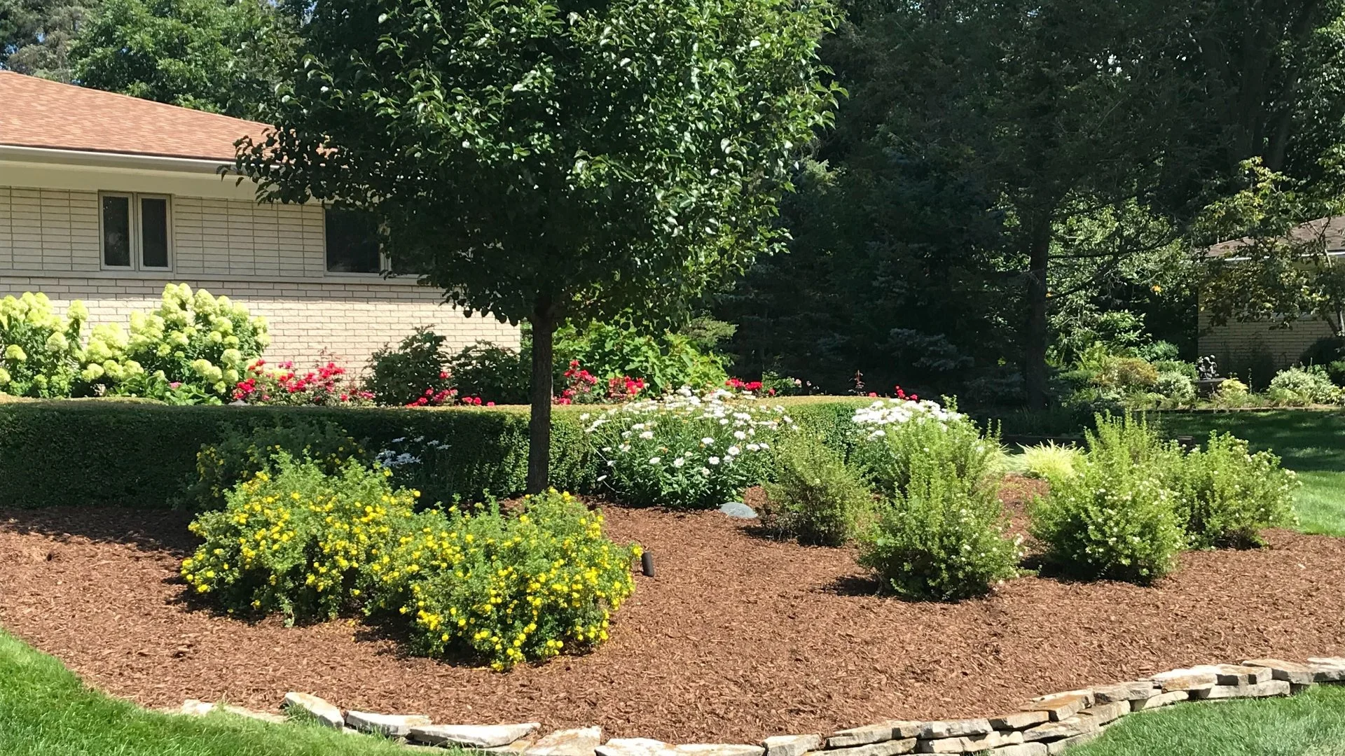 Comparing Mulch vs Rock as Landscape Ground Covers