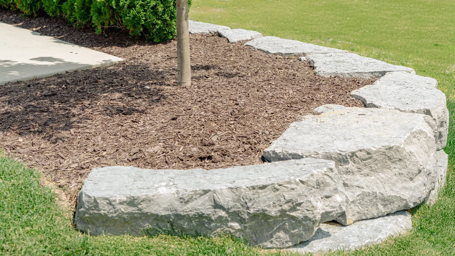 Does Old Mulch Need to Be Removed Before Adding More?