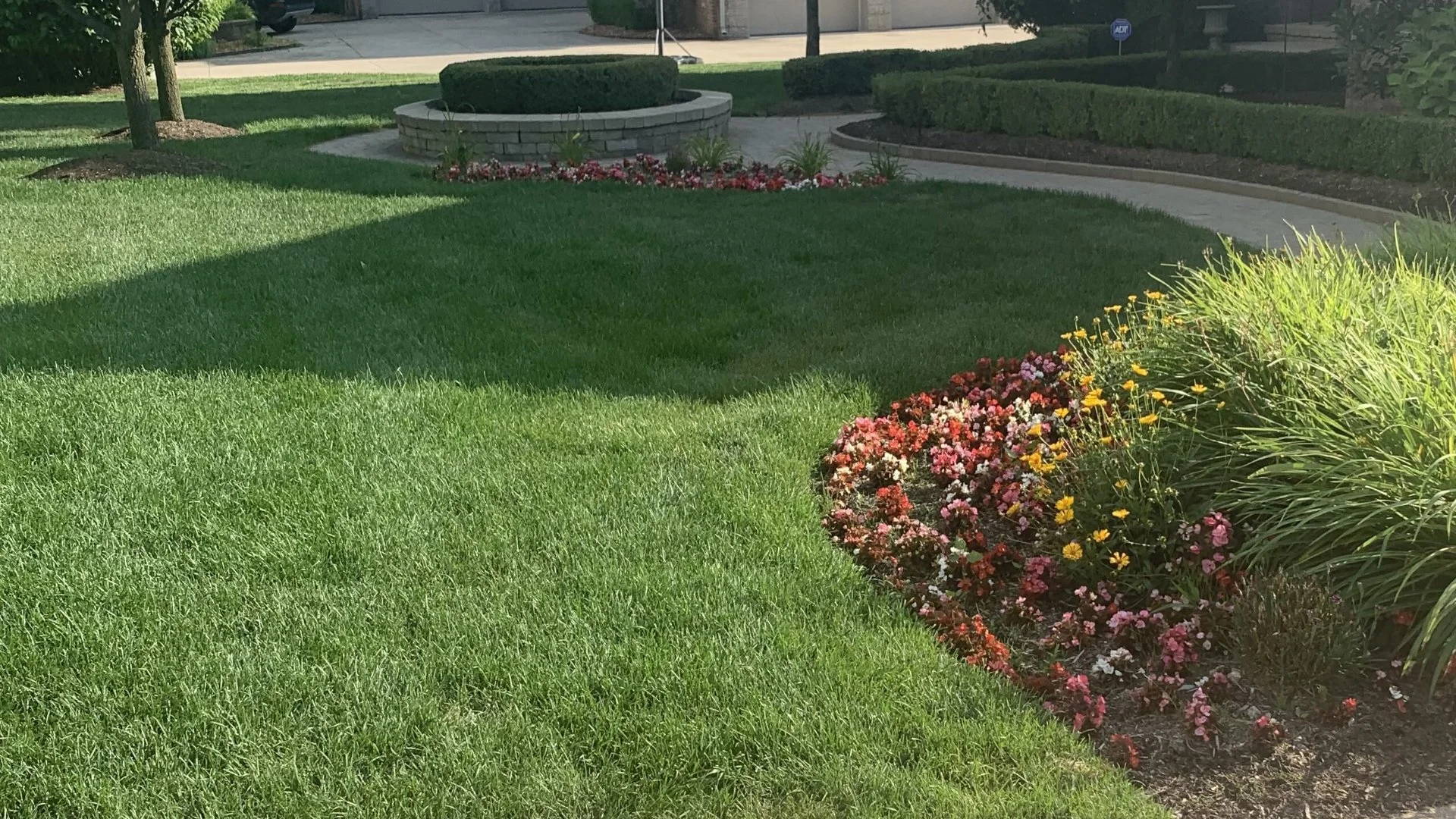 Fall Is the Perfect Time to Have Your Lawn Overseeded