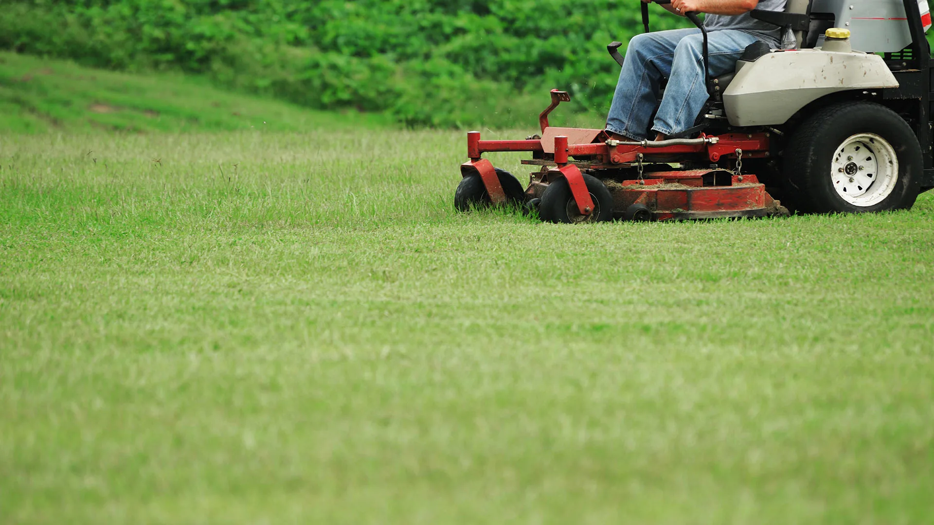 Why You Should Be Following the 1/3 Rule When Mowing Lawns in Michigan