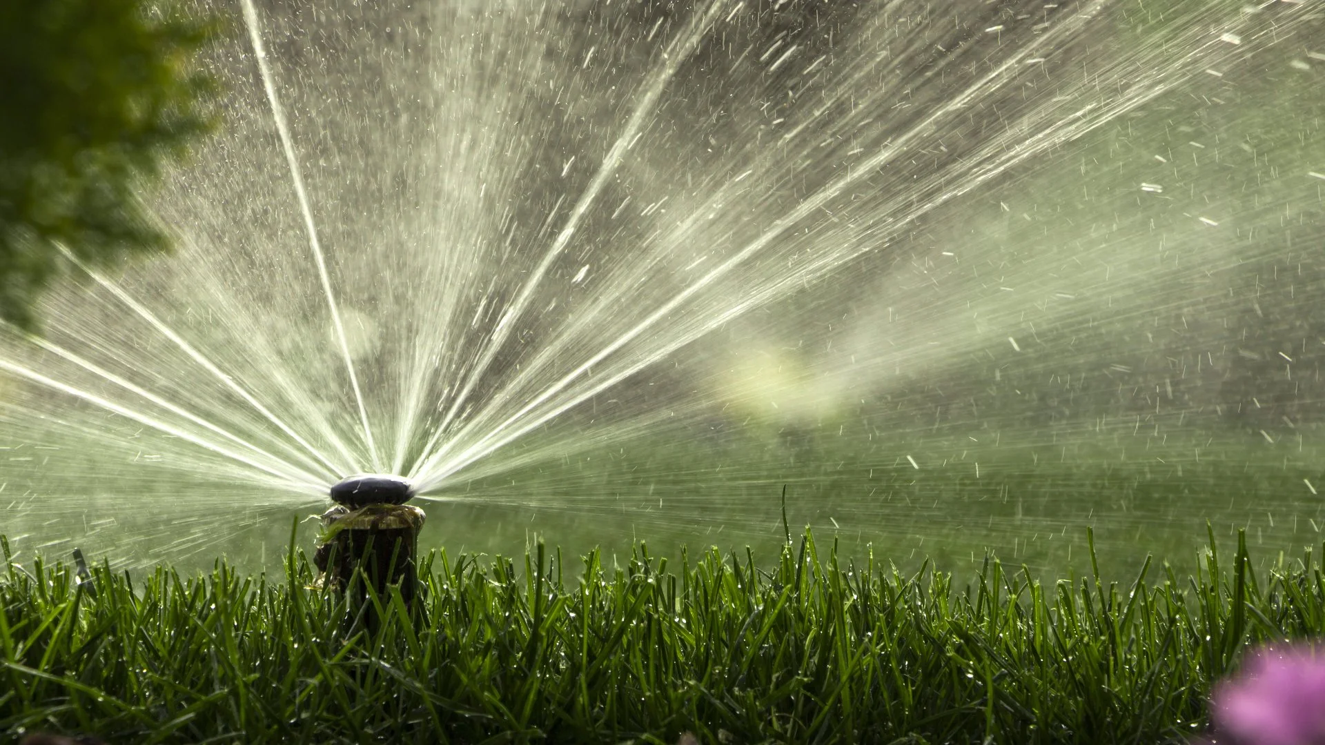 Does Your Irrigation System Need to Be Repaired? Look for These Signs
