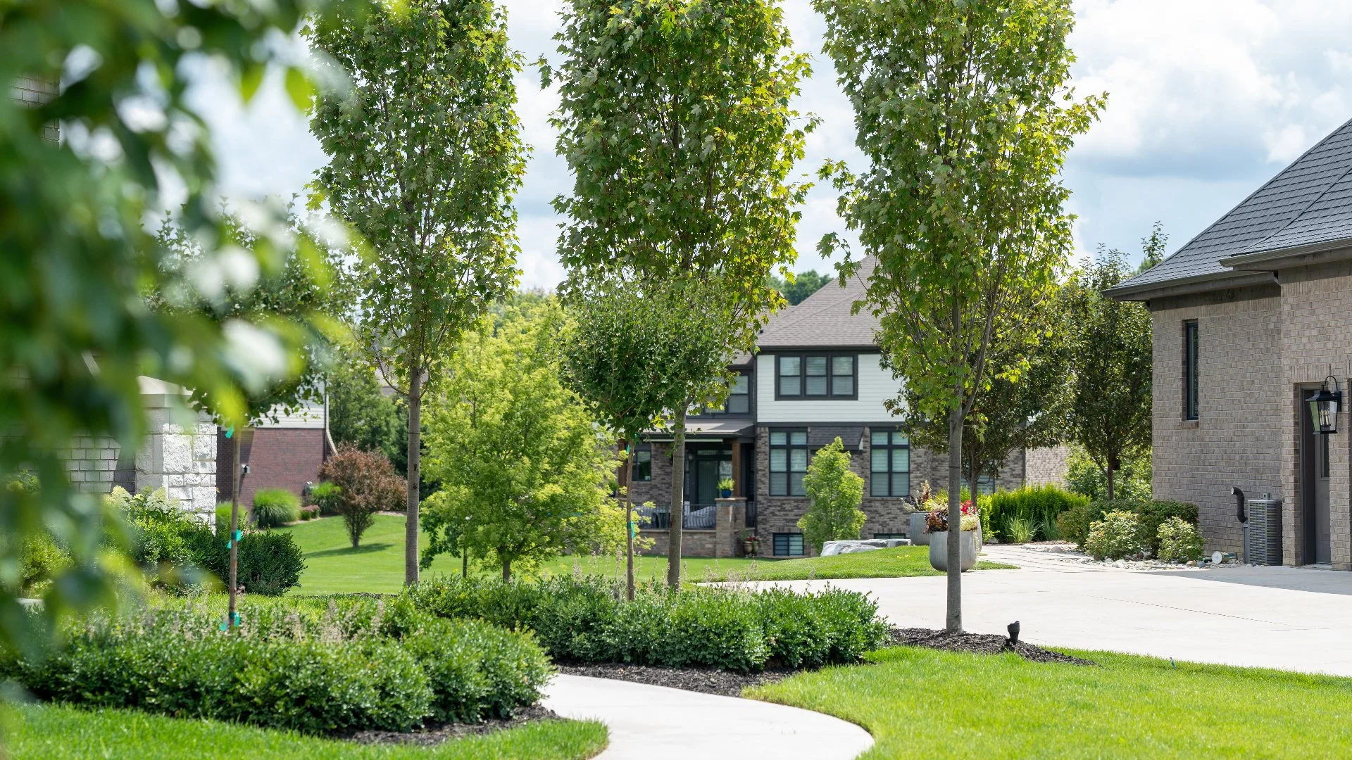 Tree-lined pathway in landscaped yard in Chesterfield, Michigan.