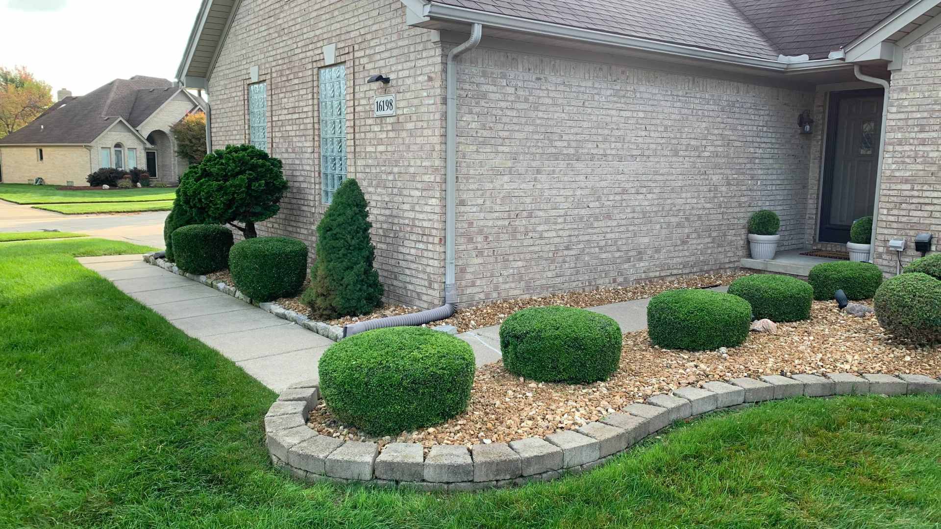 Trimmed shrubs for front landscape bed in Roseville, MI.