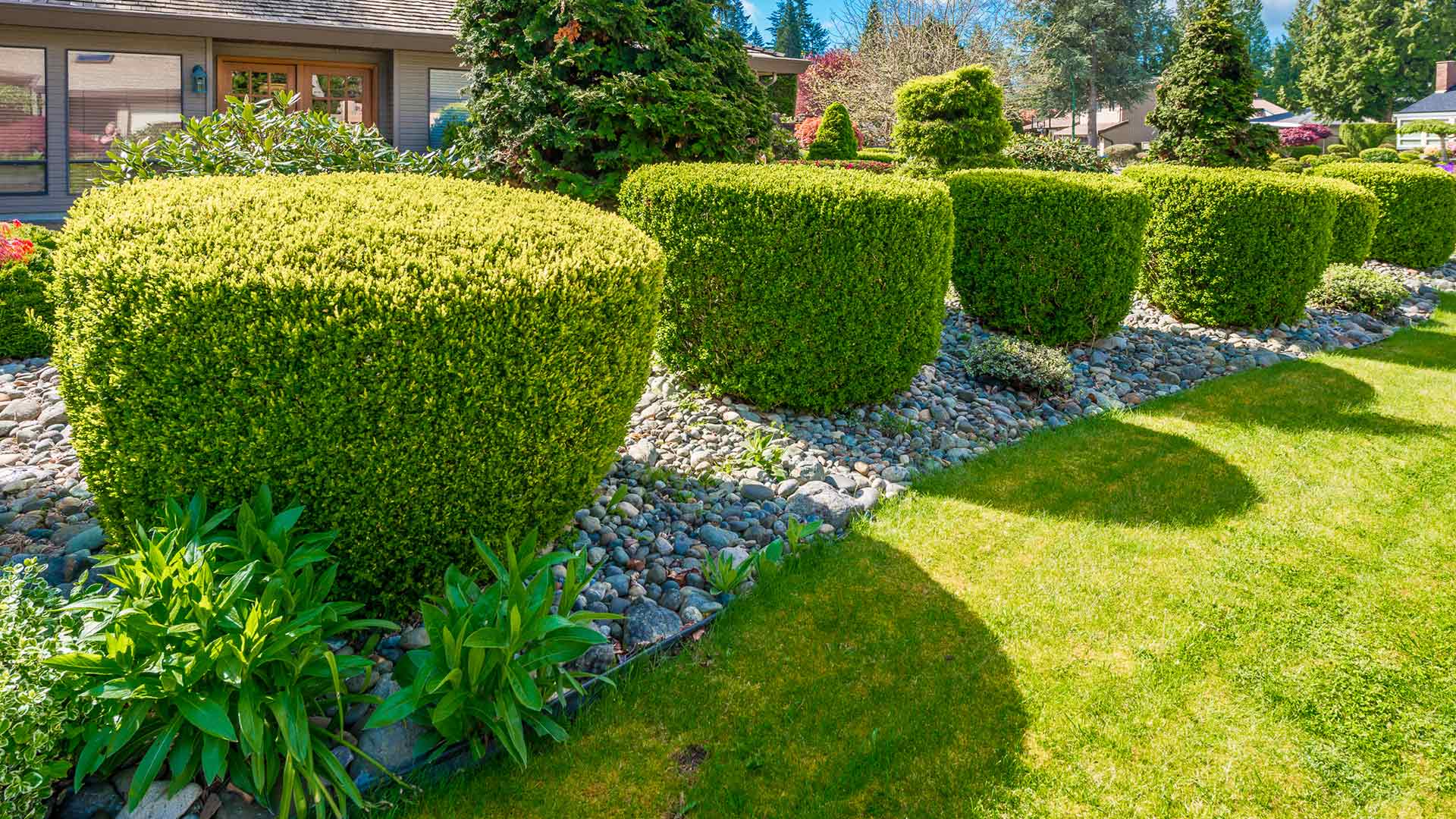 3 Tips for Trimming Your Shrubs