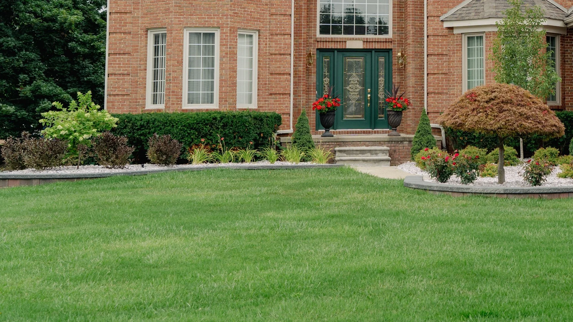 Is It Necessary to Eliminate Weeds Before Overseeding Your Lawn?