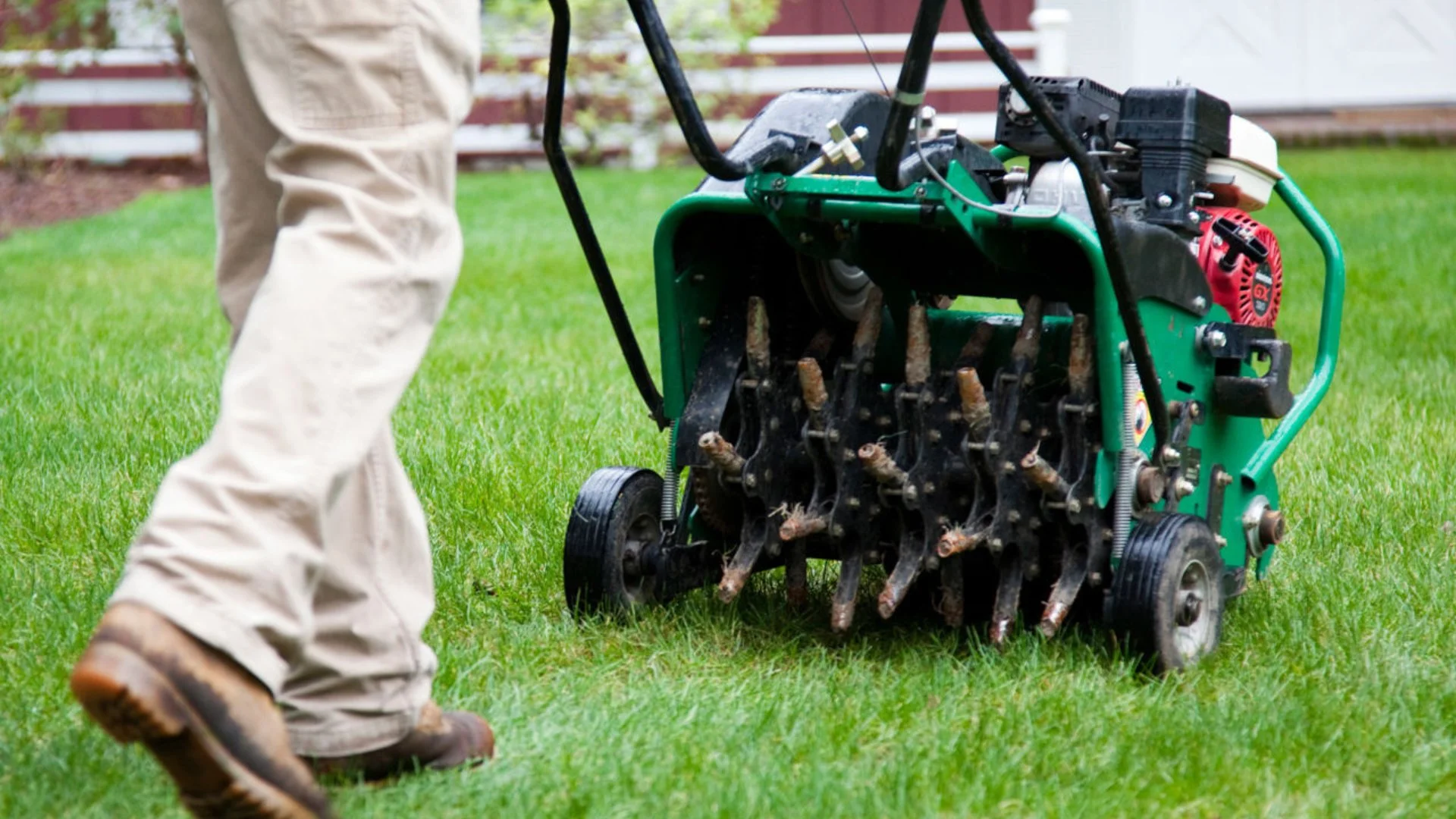 What Should You Do After Core Aeration to Help Your Lawn Recover?
