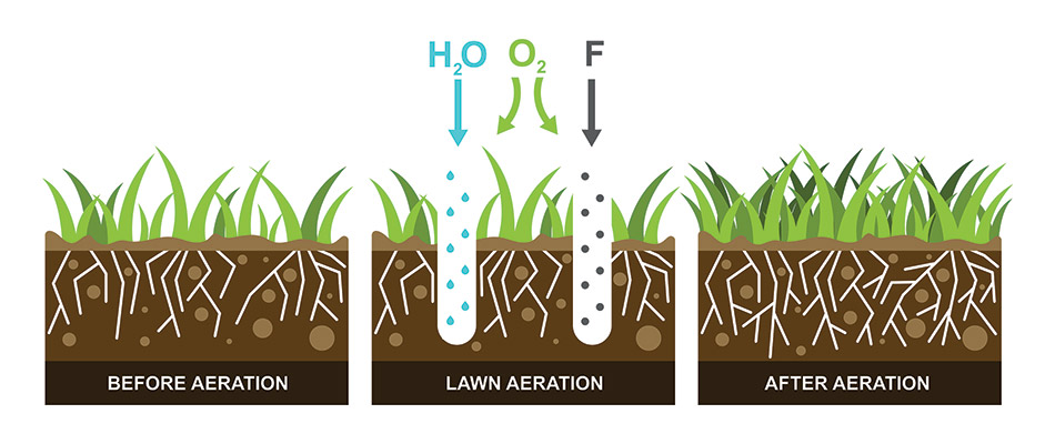 An infographic showing the beneficial effect of core aeration.