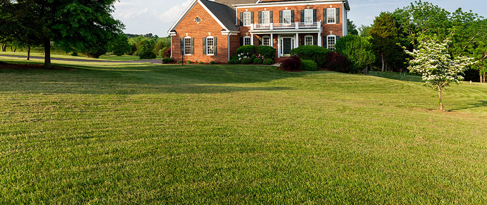 A home with a large healthy lawn in Chesterfield, MI.
