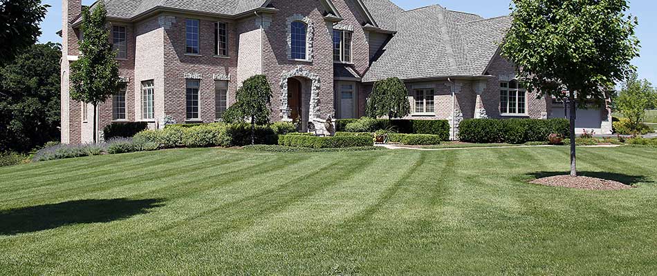 3 Damaging Mistakes Your Lawn Mowing Company Might Be Making