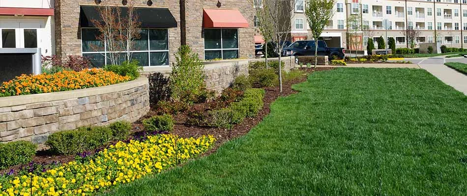 4 Ways to Spruce up Your Commercial Landscape