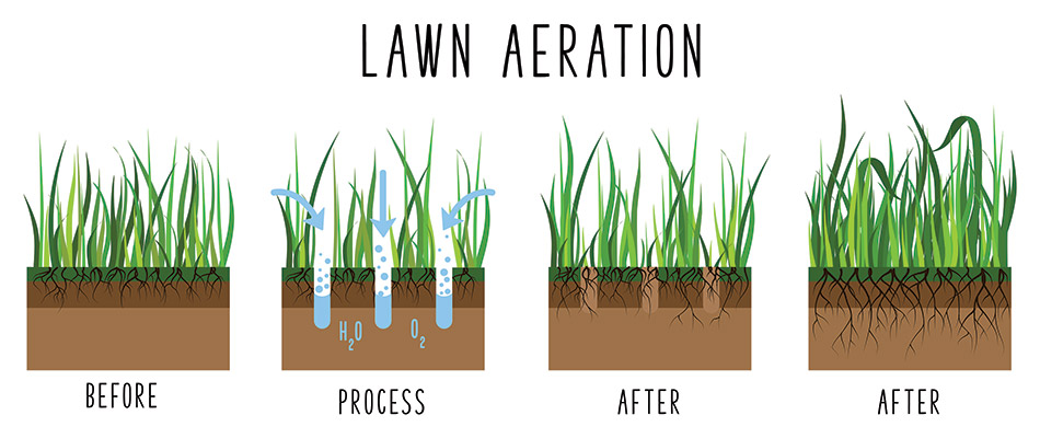 An infographic about core aeration and its benefits. 