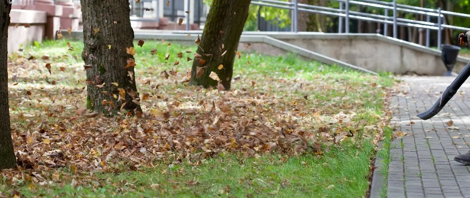 Blowing dry leaves off a walkway in Michigan.